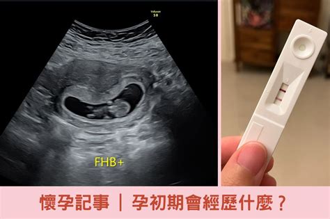 現在懷孕是什麼生肖|想生個和自己合得來的寶寶？兩公式算出12星座受孕日！